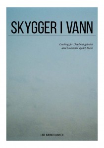 http://www.linebohmerlokken.com/files/gimgs/th-52_Skygger_vann_Page_01.jpg